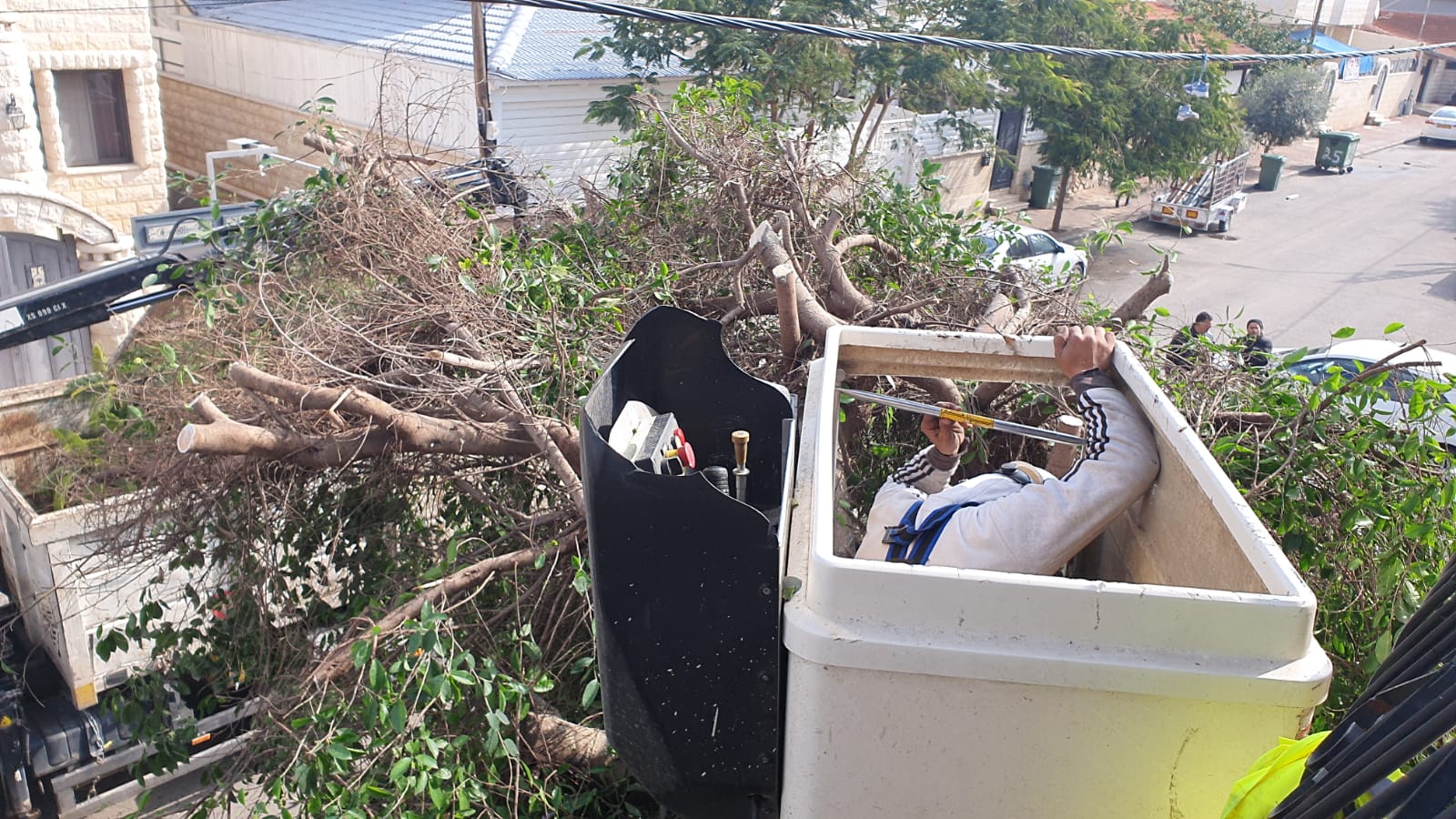 WhatsApp Image 2020-01-29 at 1.18.37 PM (2).jpeg.jpeg